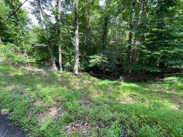 Image for Spacious Wooded Lot in Charleston’s South Hills