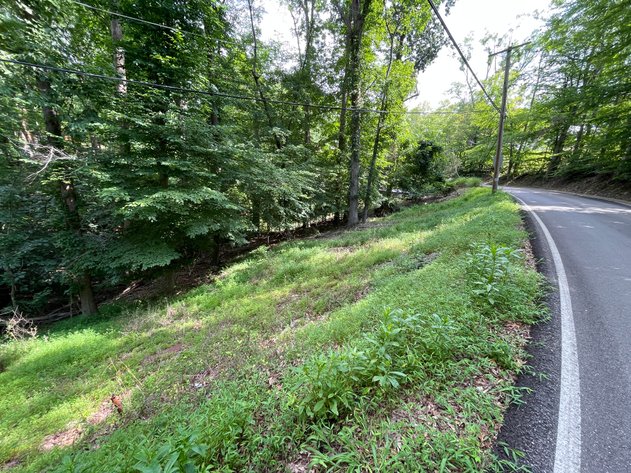 Image for Spacious Wooded Lot in Charleston’s South Hills