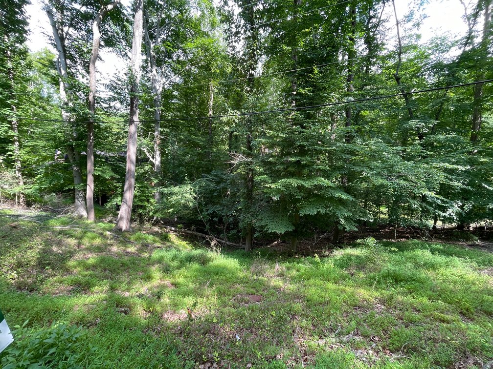 Image for Spacious Wooded Lot in Charleston’s South Hills