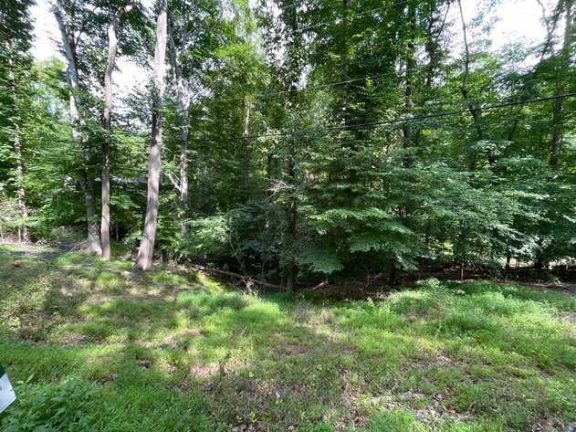Image for Spacious Wooded Lot in Charleston’s South Hills