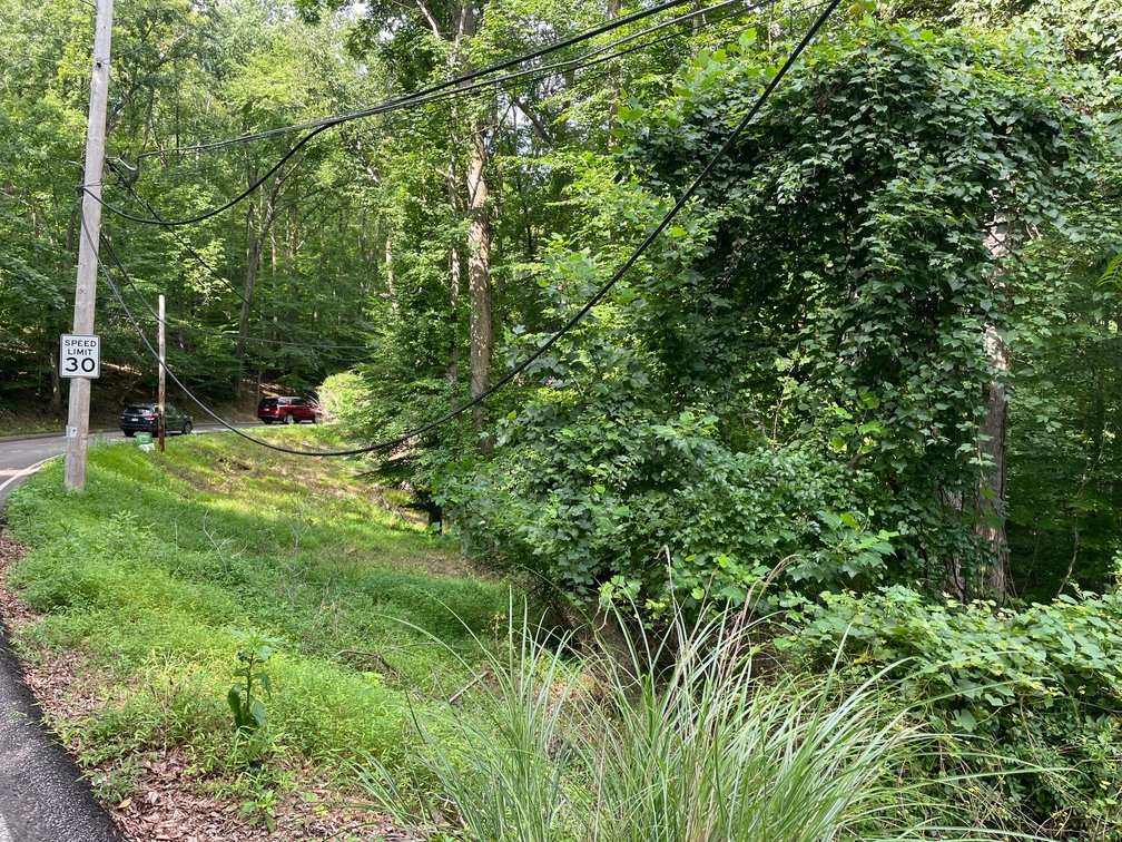 Image for Spacious Wooded Lot in Charleston’s South Hills
