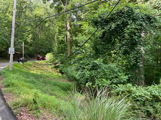 Image for Spacious Wooded Lot in Charleston’s South Hills