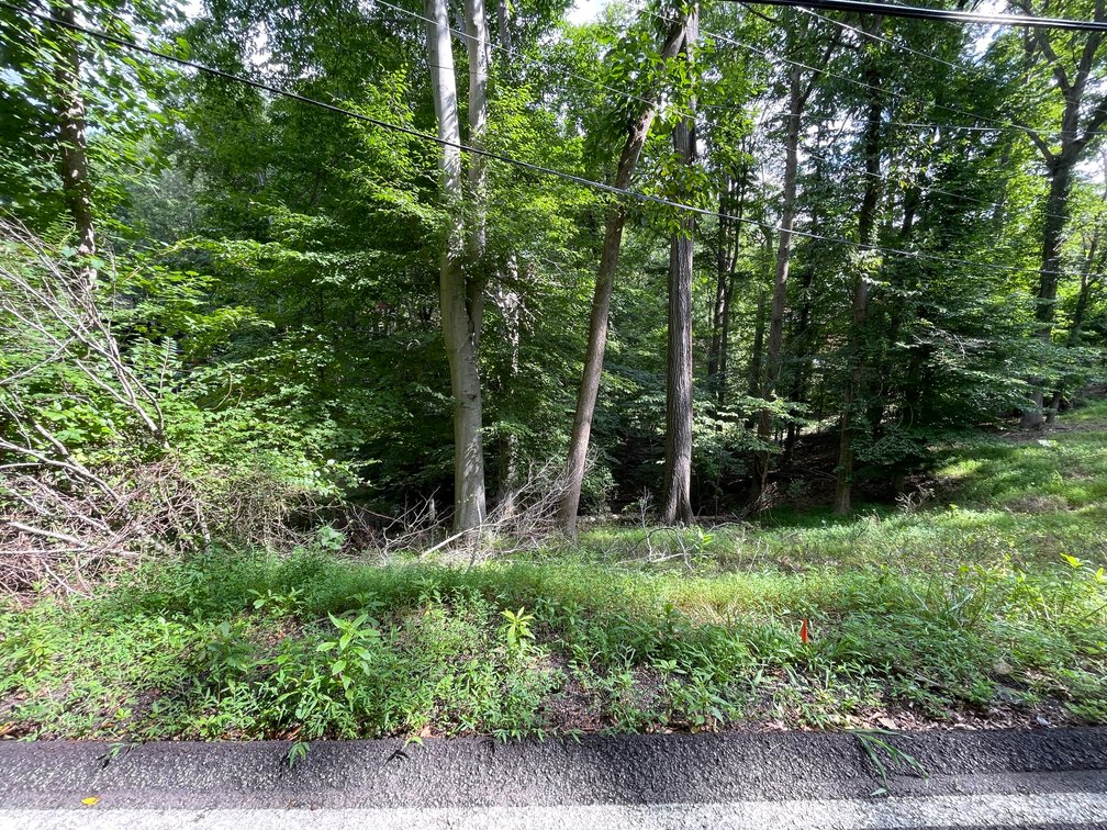 Image for Spacious Wooded Lot in Charleston’s South Hills