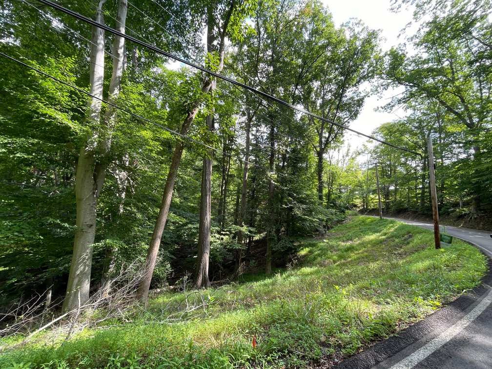 Image for Spacious Wooded Lot in Charleston’s South Hills