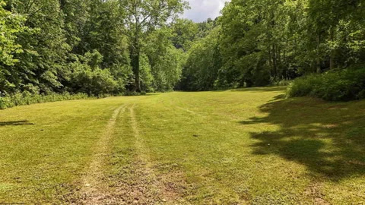 Image for Spacious 3 Bedroom on 41 Acres in Alum Bridge