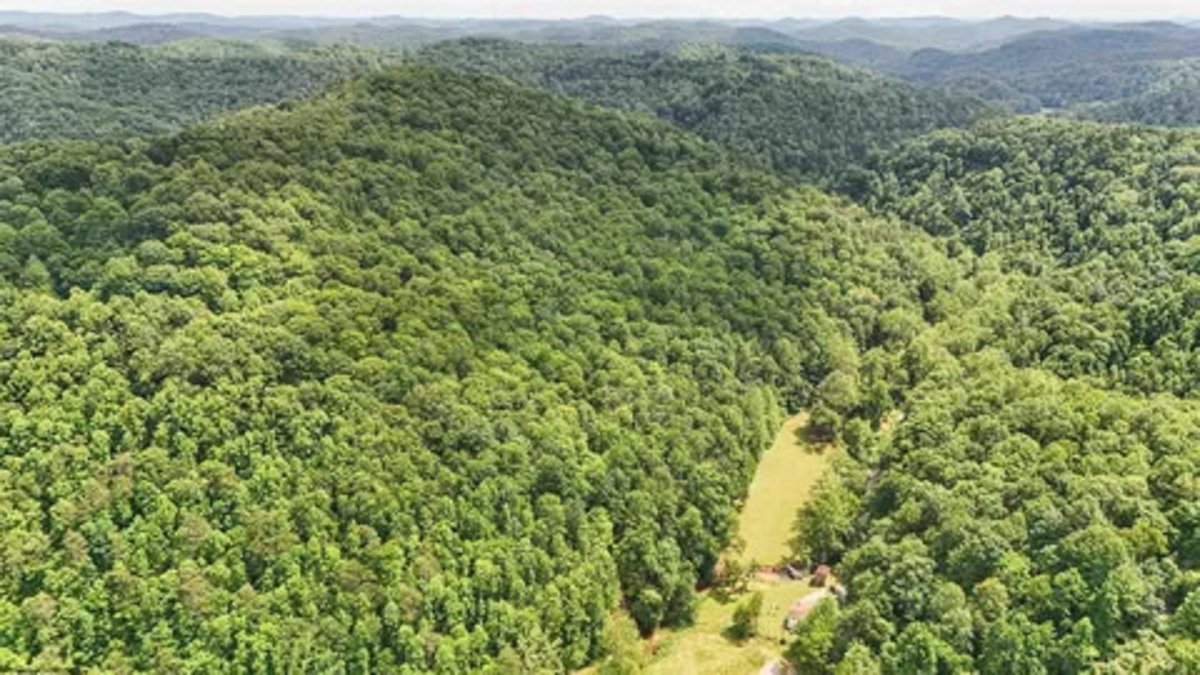 Image for Spacious 3 Bedroom on 41 Acres in Alum Bridge