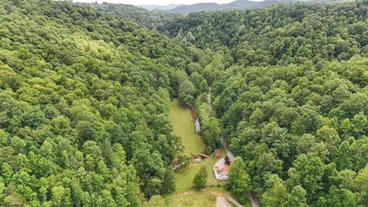 Image for Spacious 3 Bedroom on 41 Acres in Alum Bridge