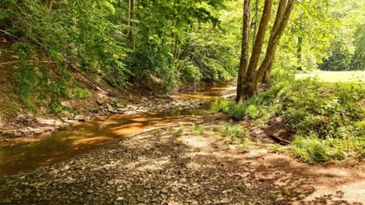 Image for Spacious 3 Bedroom on 41 Acres in Alum Bridge