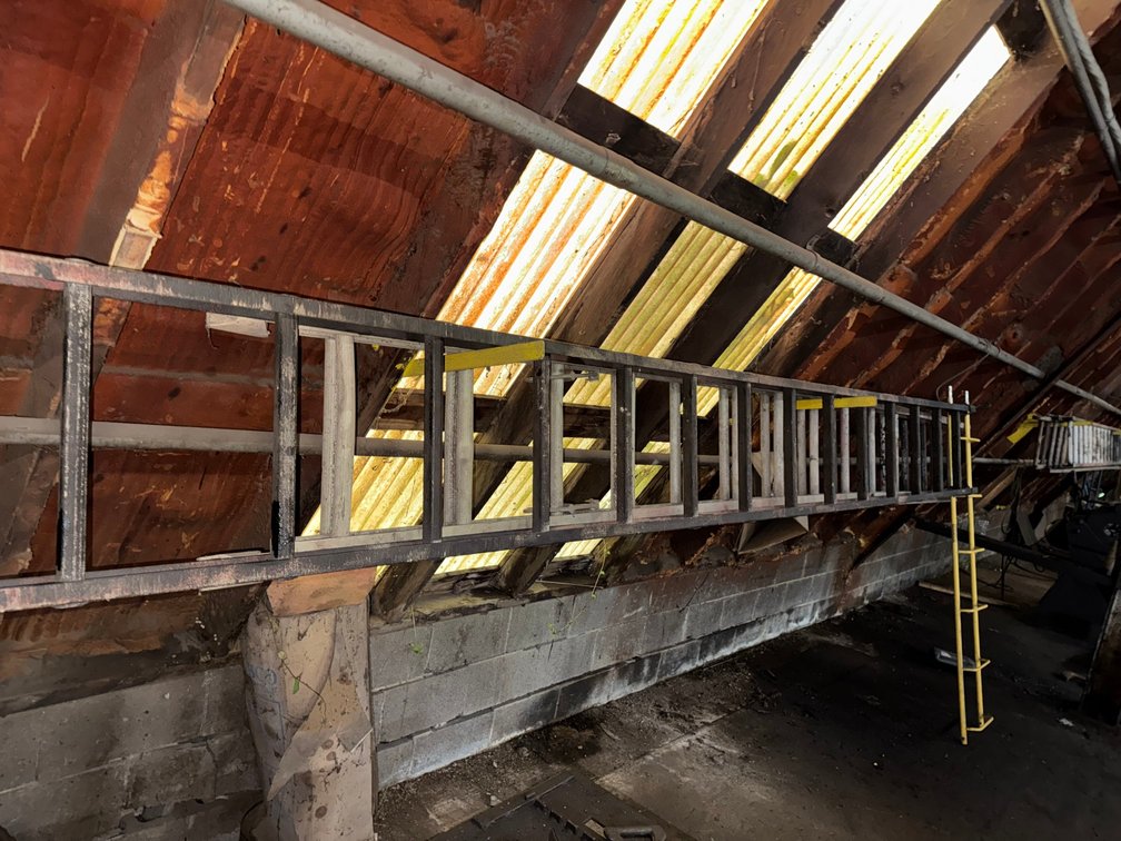 Extension Ladder and Ladder
