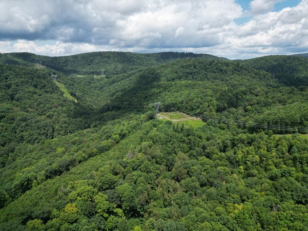 Image for Over 82 Wooded Mountain Acres Along US-50 in Preston County Selling to the Highest Bidder
