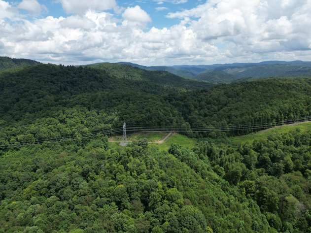 Image for Over 82 Wooded Mountain Acres Along US-50 in Preston County Selling to the Highest Bidder
