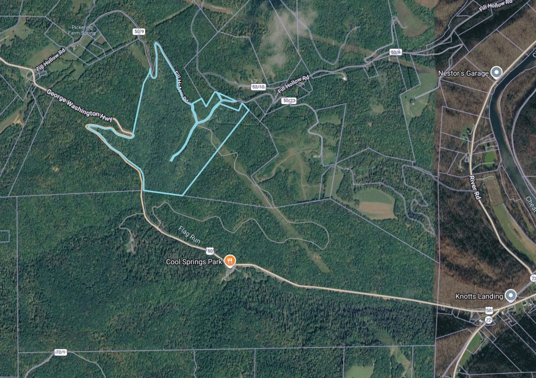 Image for Over 82 Wooded Mountain Acres Along US-50 in Preston County Selling to the Highest Bidder