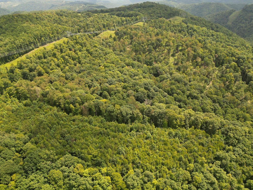 Image for Over 82 Wooded Mountain Acres Along US-50 in Preston County Selling to the Highest Bidder
