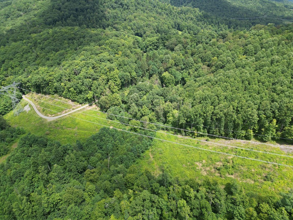 Image for Over 82 Wooded Mountain Acres Along US-50 in Preston County Selling to the Highest Bidder
