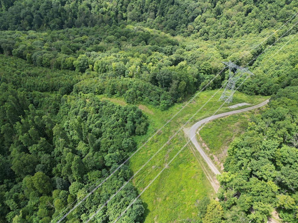 Image for Over 82 Wooded Mountain Acres Along US-50 in Preston County Selling to the Highest Bidder