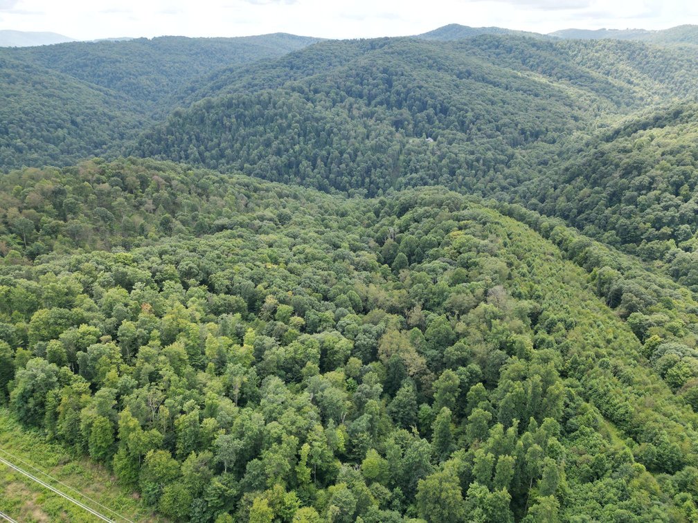 Image for Over 82 Wooded Mountain Acres Along US-50 in Preston County Selling to the Highest Bidder