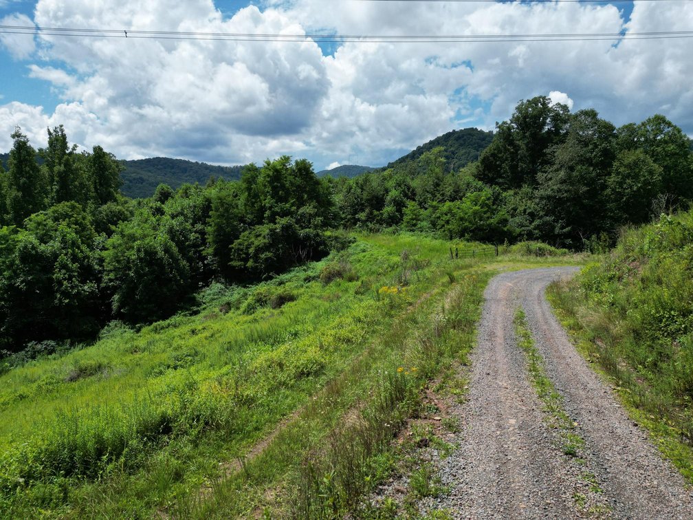 Image for Over 82 Wooded Mountain Acres Along US-50 in Preston County Selling to the Highest Bidder