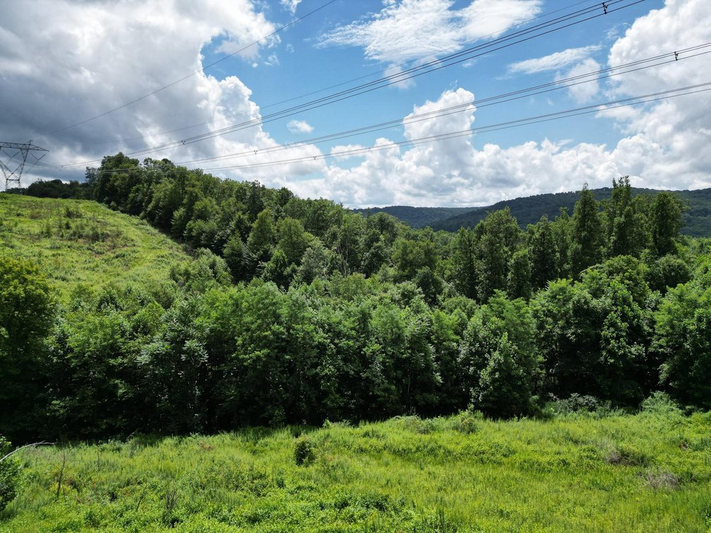 Image for Over 82 Wooded Mountain Acres Along US-50 in Preston County Selling to the Highest Bidder