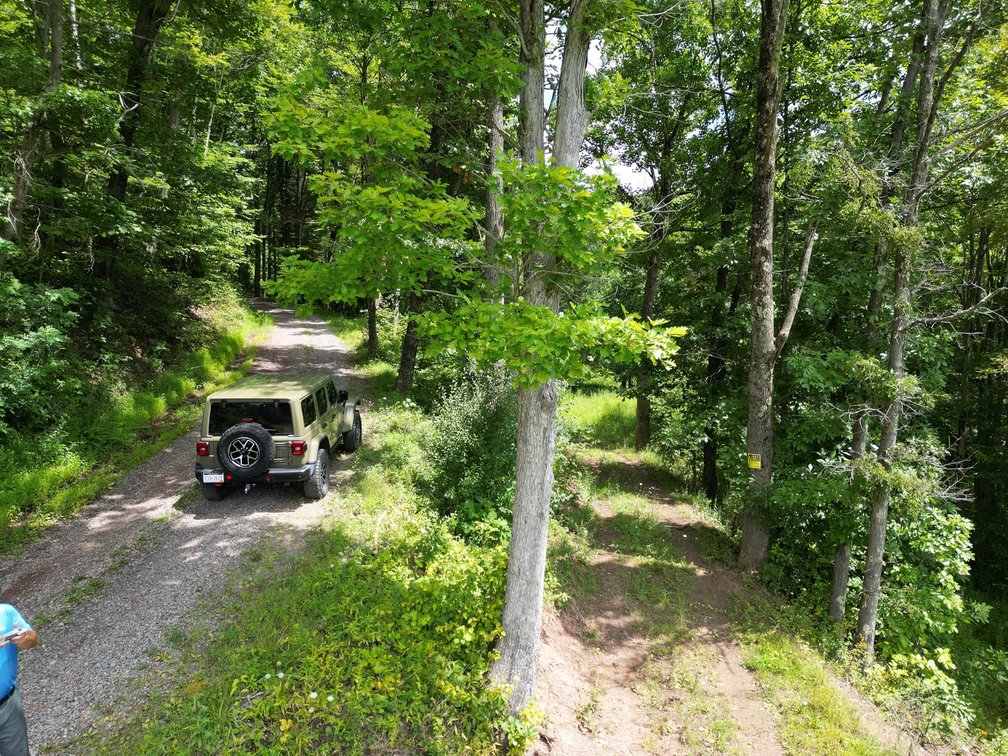 Image for Over 82 Wooded Mountain Acres Along US-50 in Preston County Selling to the Highest Bidder
