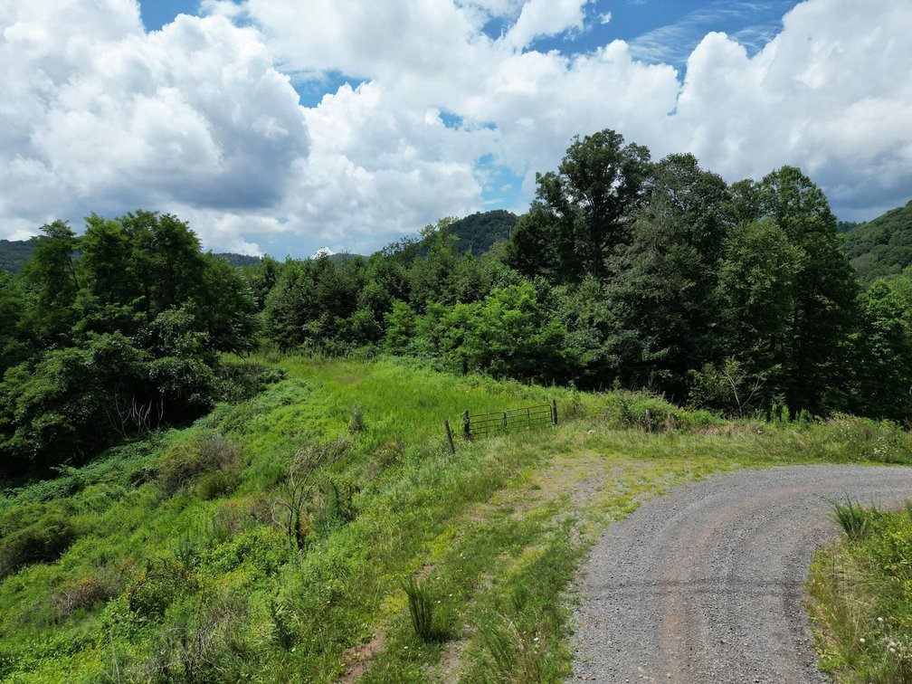 Image for Over 82 Wooded Mountain Acres Along US-50 in Preston County Selling to the Highest Bidder