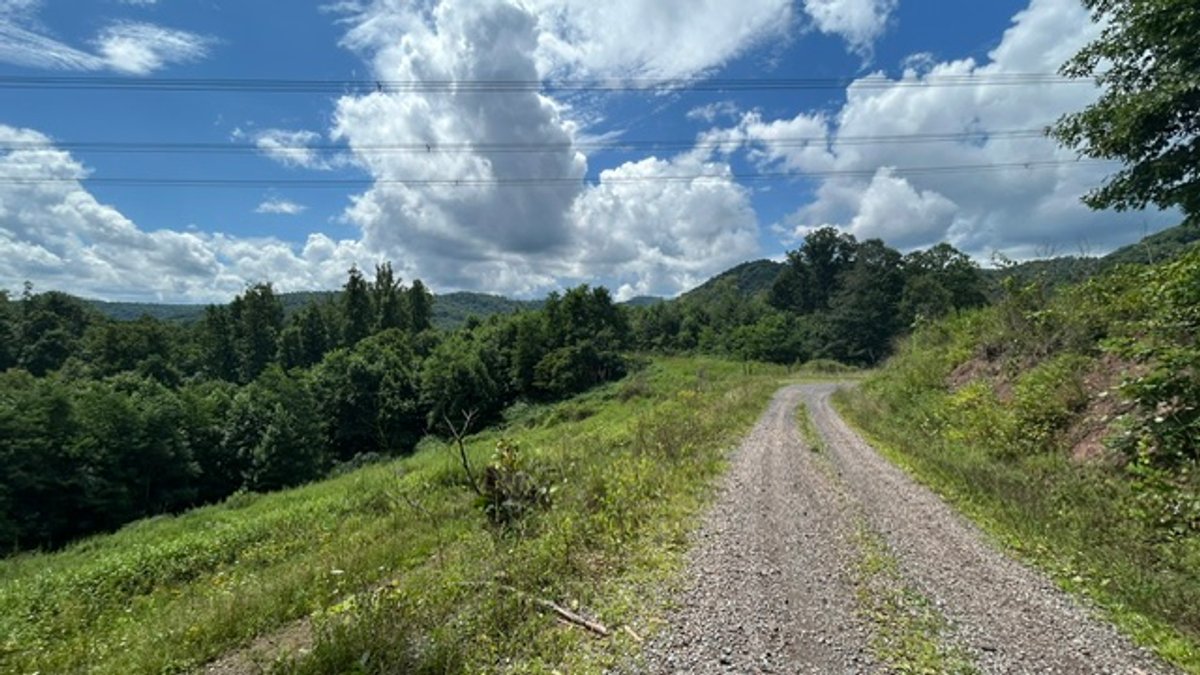 Image for Over 82 Wooded Mountain Acres Along US-50 in Preston County Selling to the Highest Bidder
