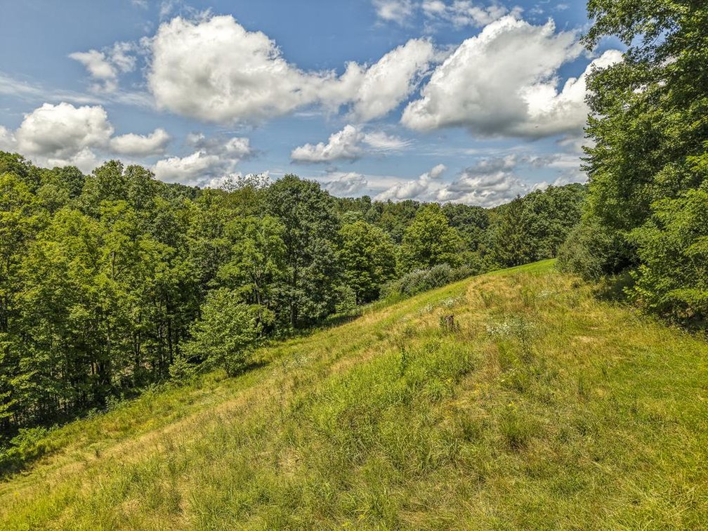 Image for Nice 3 Bedroom with a Full Basement on 9 Acres in Harrison County