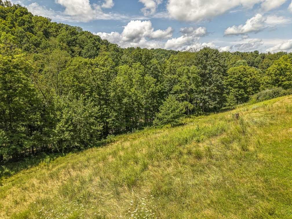 Image for Nice 3 Bedroom with a Full Basement on 9 Acres in Harrison County