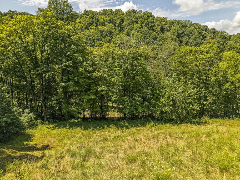 Image for Nice 3 Bedroom with a Full Basement on 9 Acres in Harrison County