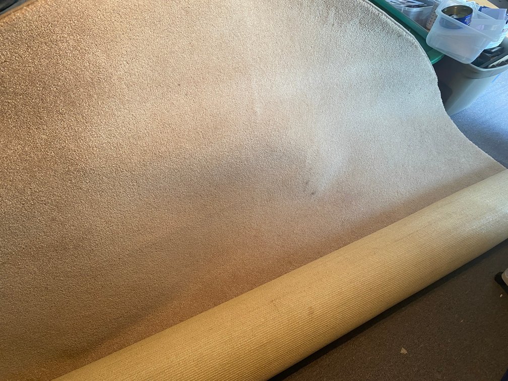 Large oval area rug