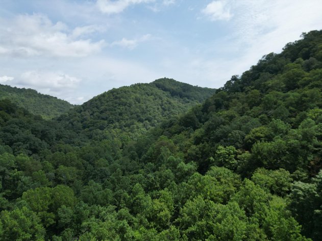 Image for 109 Recently Surveyed Acres in Boone County