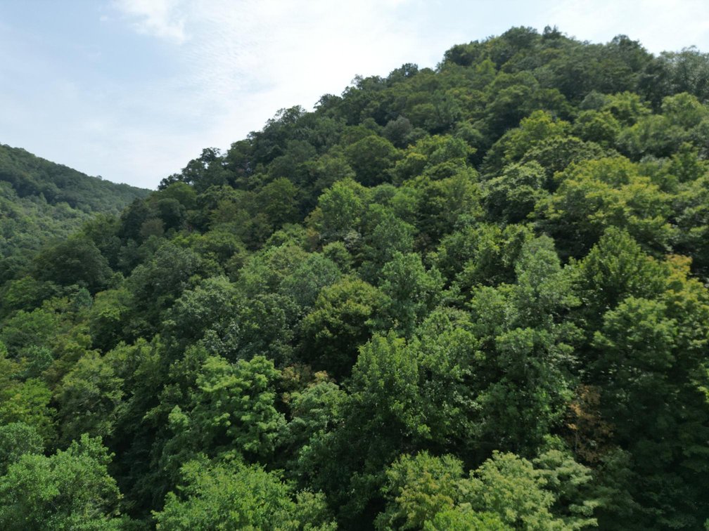 Image for 109 Recently Surveyed Acres in Boone County