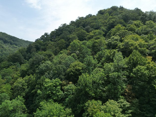 Image for 109 Recently Surveyed Acres in Boone County