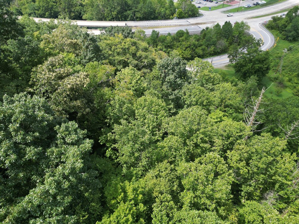 Image for 109 Recently Surveyed Acres in Boone County