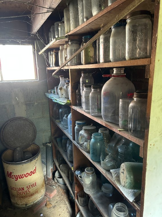 Contents of shelves