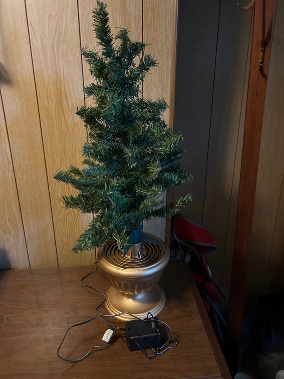 Small Christmas tree with lighted base