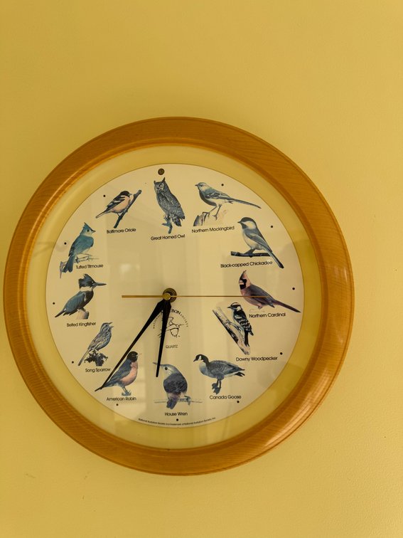 Vintage 1997 National Audubon Society singing bird clock
