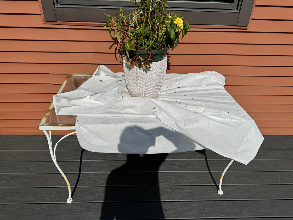 Appears to be a vintage white wrought iron table with glass top-flowers and vase on top