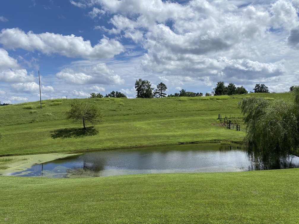 Image for 64 Acre Active Farm with 3-Bedroom Home, Barn, Cabin, & Ponds in Elkview