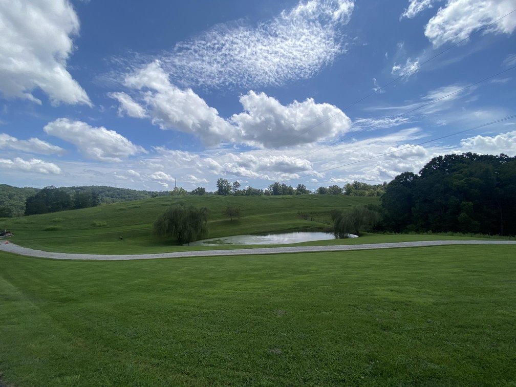 Image for 64 Acre Active Farm with 3-Bedroom Home, Barn, Cabin, & Ponds in Elkview