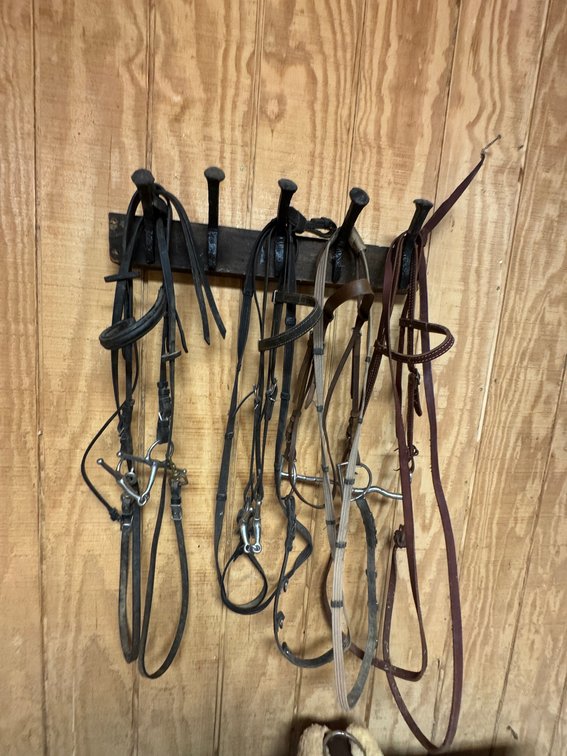 Various types of horse bridles and reins hanging on rack
