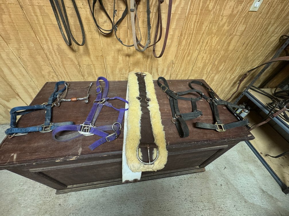 Collection of used horse tact