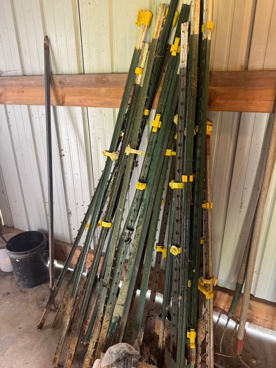 Multiple studded steel fence t-posts