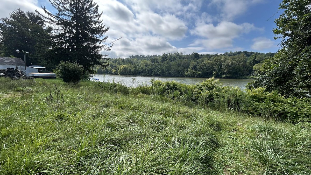 Image for Monongahela Riverfront Home Selling to the Highest Bidder