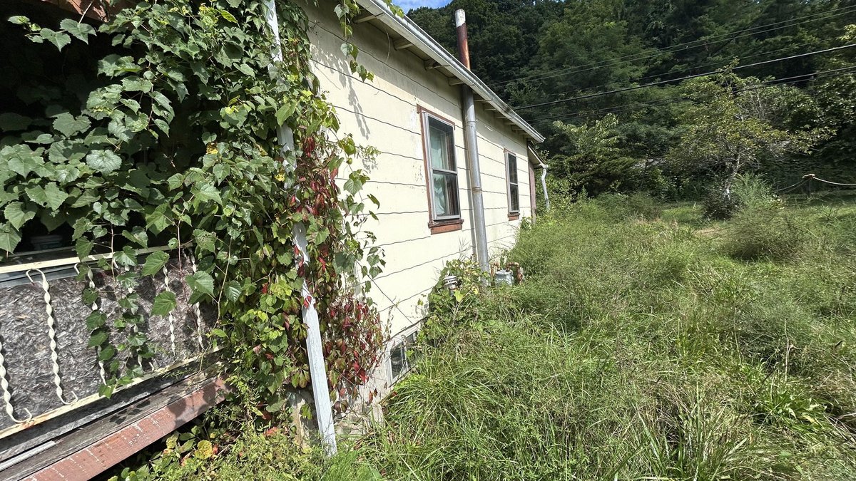Image for Monongahela Riverfront Home Selling to the Highest Bidder