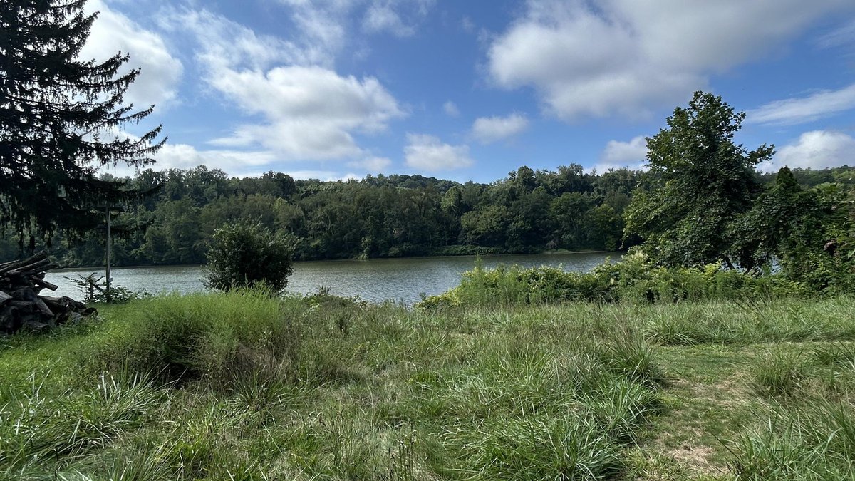 Image for Monongahela Riverfront Home Selling to the Highest Bidder