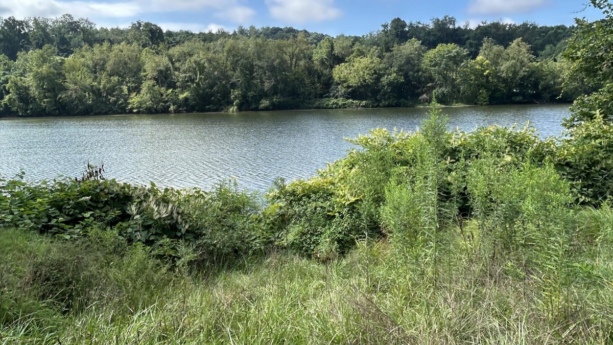 Image for Monongahela Riverfront Home Selling to the Highest Bidder