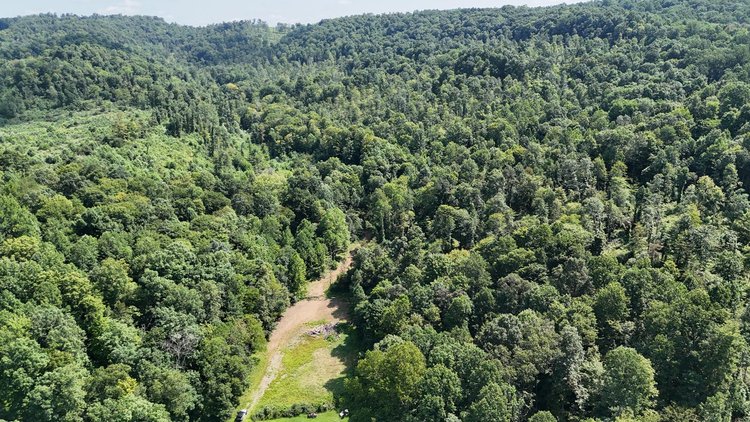 Image for 119 Acres off Spall Lick Road in Barbour County