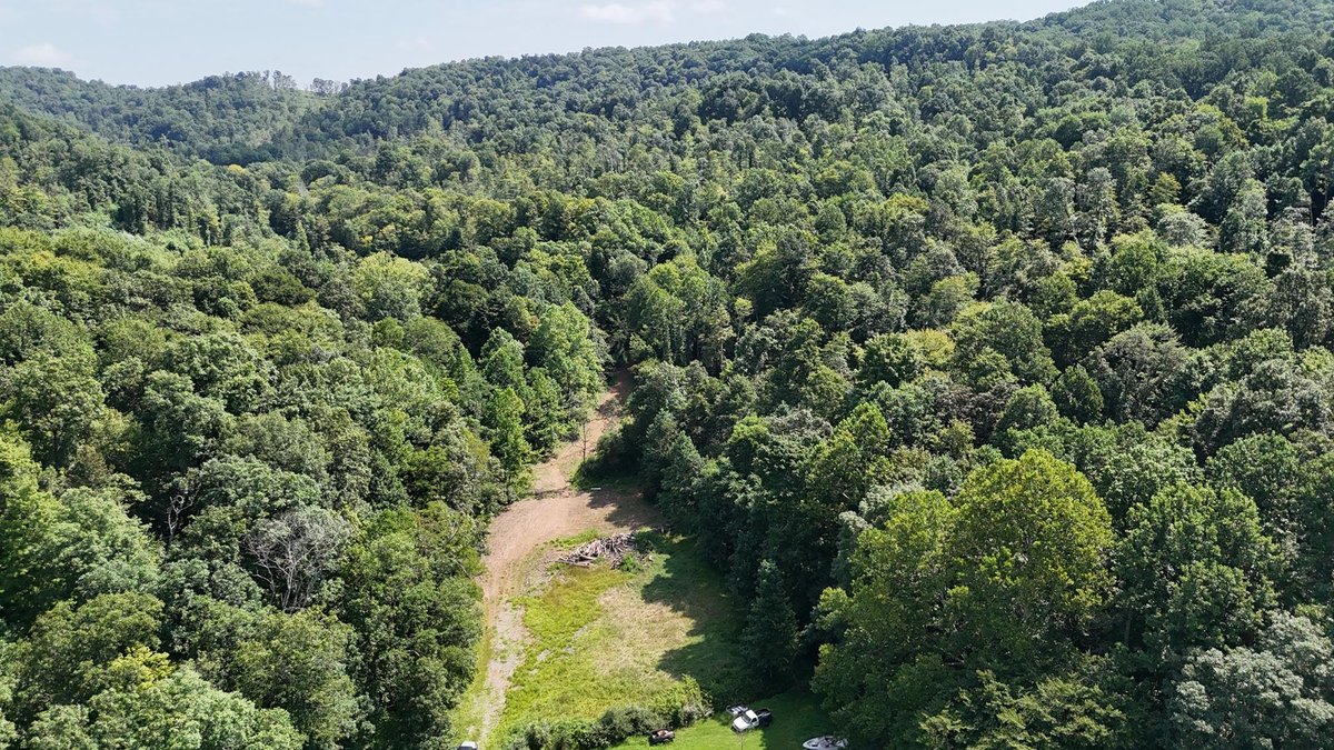 Image for 119 Acres off Spall Lick Road in Barbour County