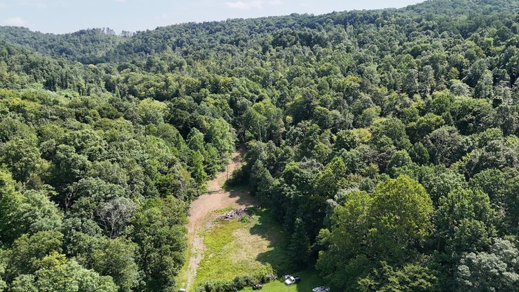 Image for 119 Acres off Spall Lick Road in Barbour County