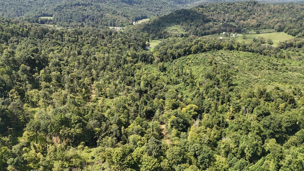 Image for 119 Acres off Spall Lick Road in Barbour County